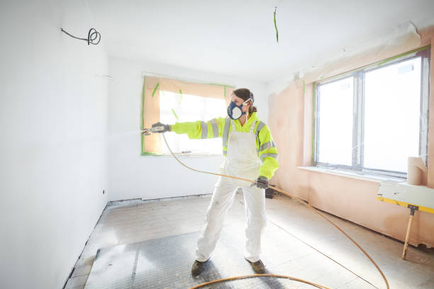 Best Post-Construction Mold Inspection  in Iowa Colony, TX