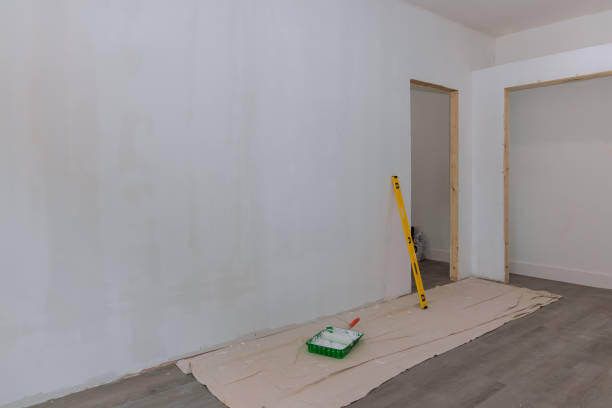 Asbestos and Lead Testing During Mold Inspection in Iowa Colony, TX